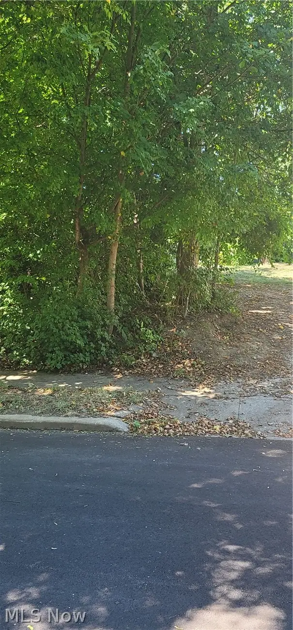 Kline Avenue, Akron, OH 44305 - #1