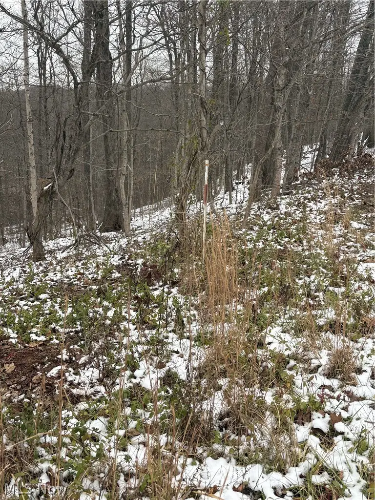 State Rt 555, Cutler, OH 45724 - #3