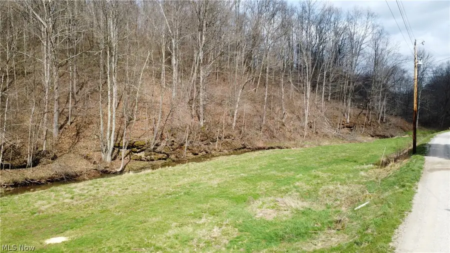 39460 Opossum Creek Road, Sardis, OH 43946 - #2