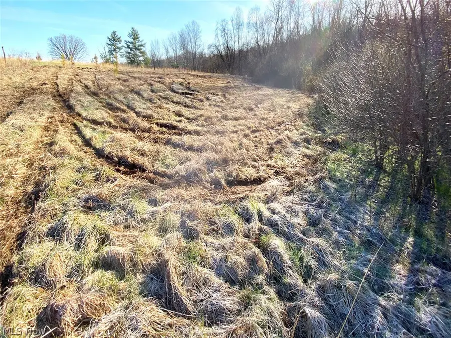 0 Twp Rd 318 Road, Dexter City, OH 45727 - #3