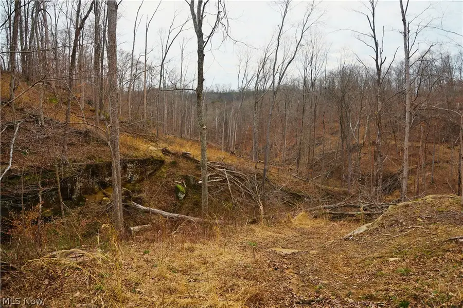 Brimstone Road, Coolville, OH 45723 - #2