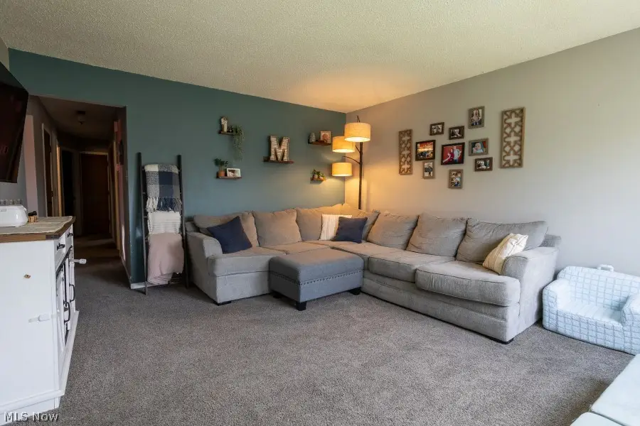 957 Carnegie Avenue, Akron, OH 44314 - #3