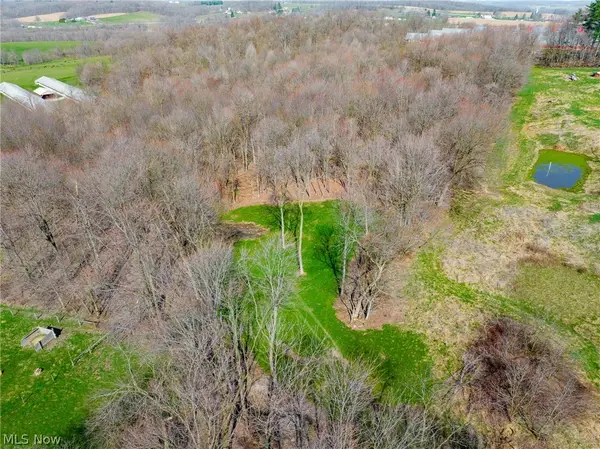 Nebraska Road, Dundee, OH 44624