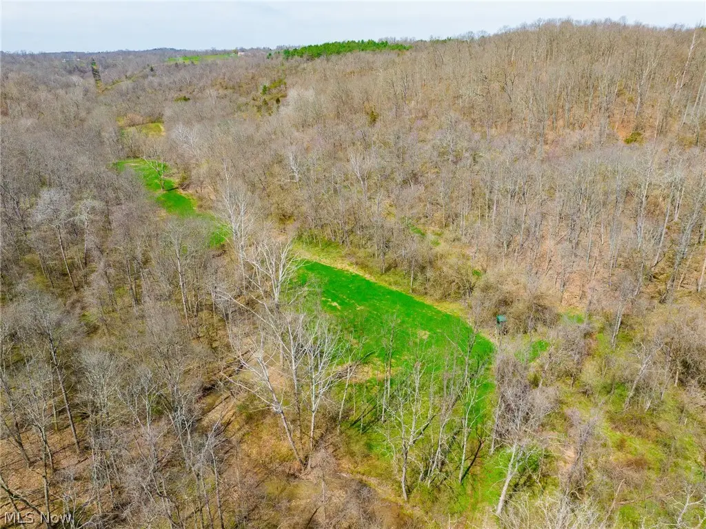 East Branch Road, Lowell, OH 45744 - #1