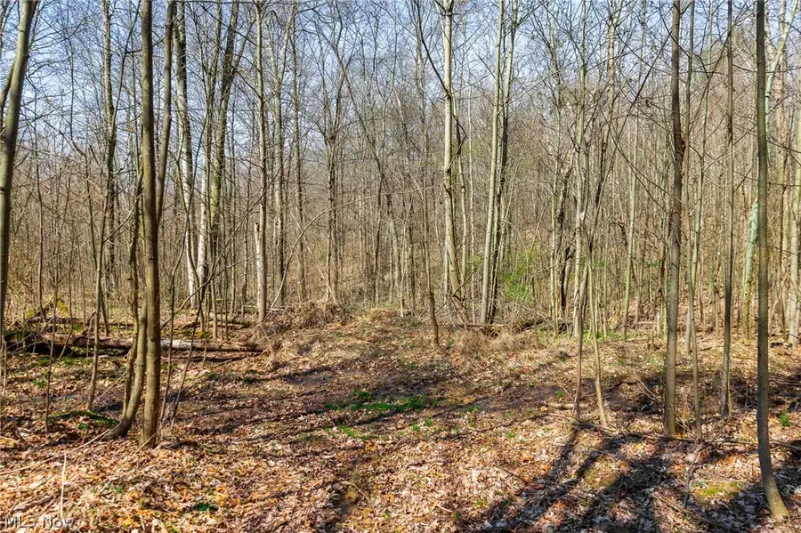 East Branch Road, Lowell, OH 45744 - #3