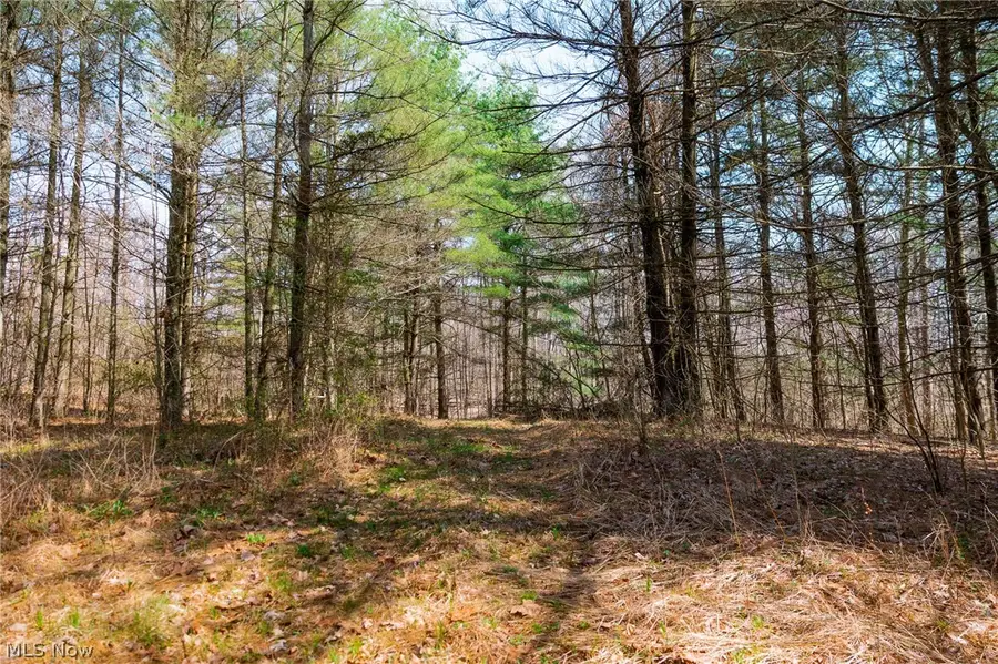 East Branch Road, Lowell, OH 45744 - #3