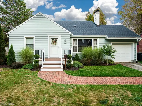 241 Lownsdale Avenue, Akron, OH 44313