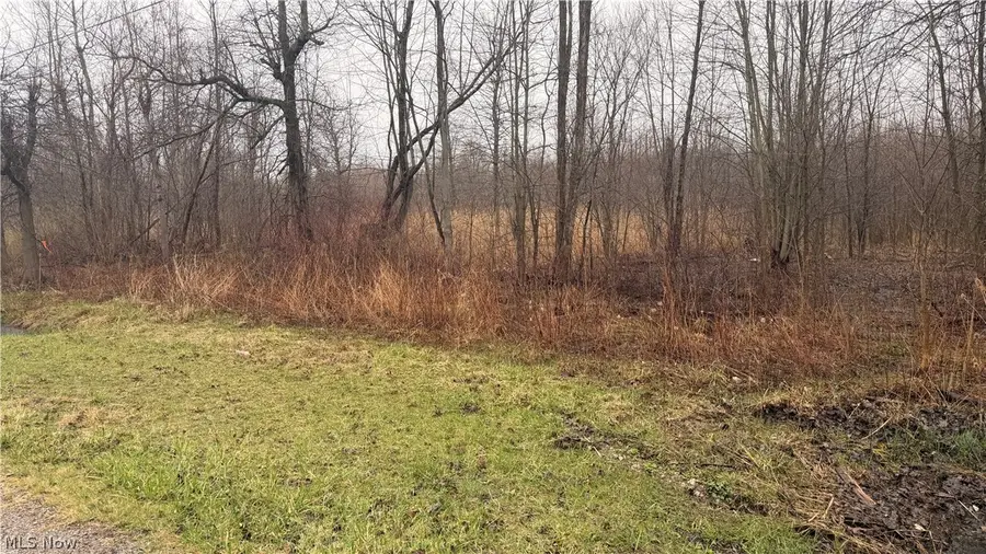 Ninevah Road, Geneva, OH 44041 - #2