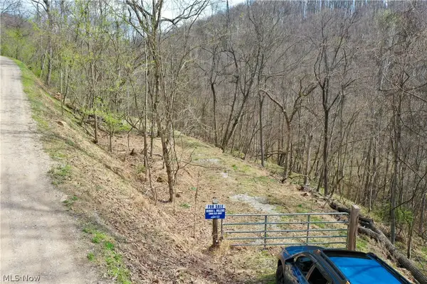 1536 Jakes Fork Road, Arnoldsburg, WV 25234