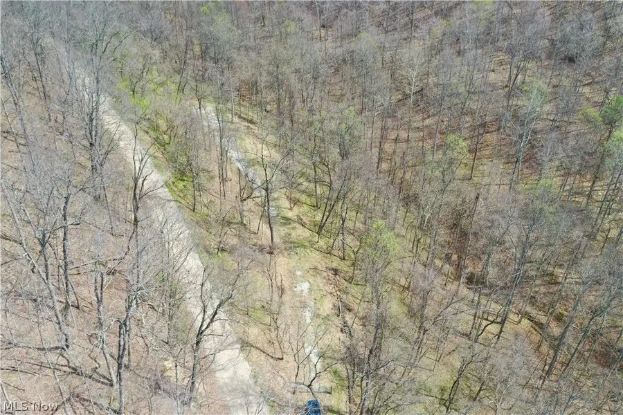 1536 Jakes Fork Road, Arnoldsburg, WV 25234 - #2