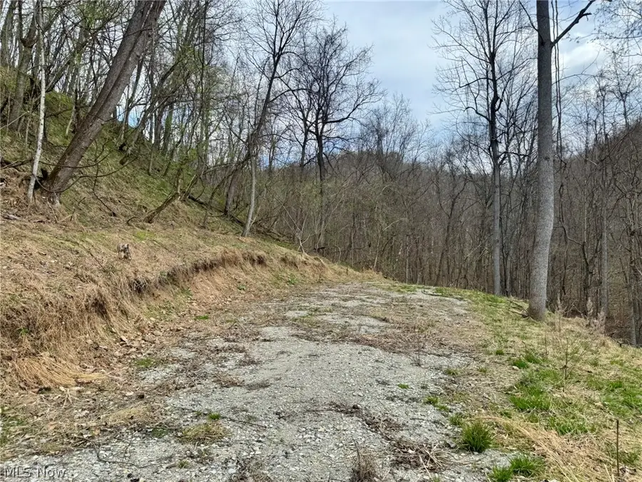 1536 Jakes Fork Road, Arnoldsburg, WV 25234 - #3