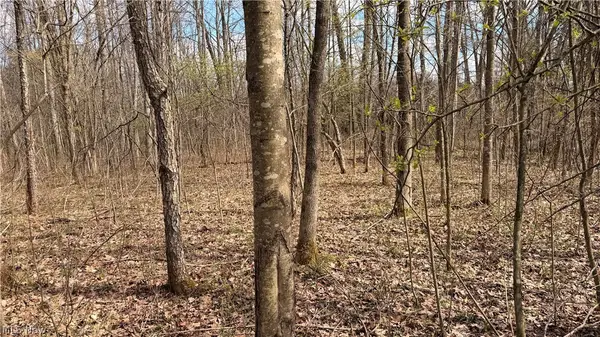 Addison Road, Brookfield, OH 44438