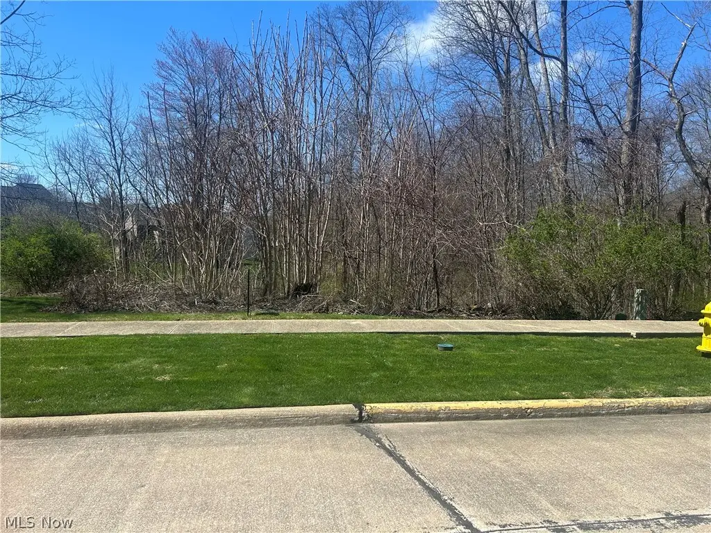 314 Kaylee Drive, Wadsworth, OH 44281 - #1