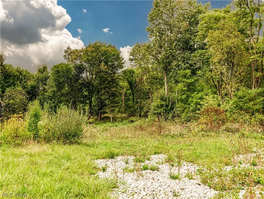 V/L Diplomat Drive, Stow, OH 44224 - #3