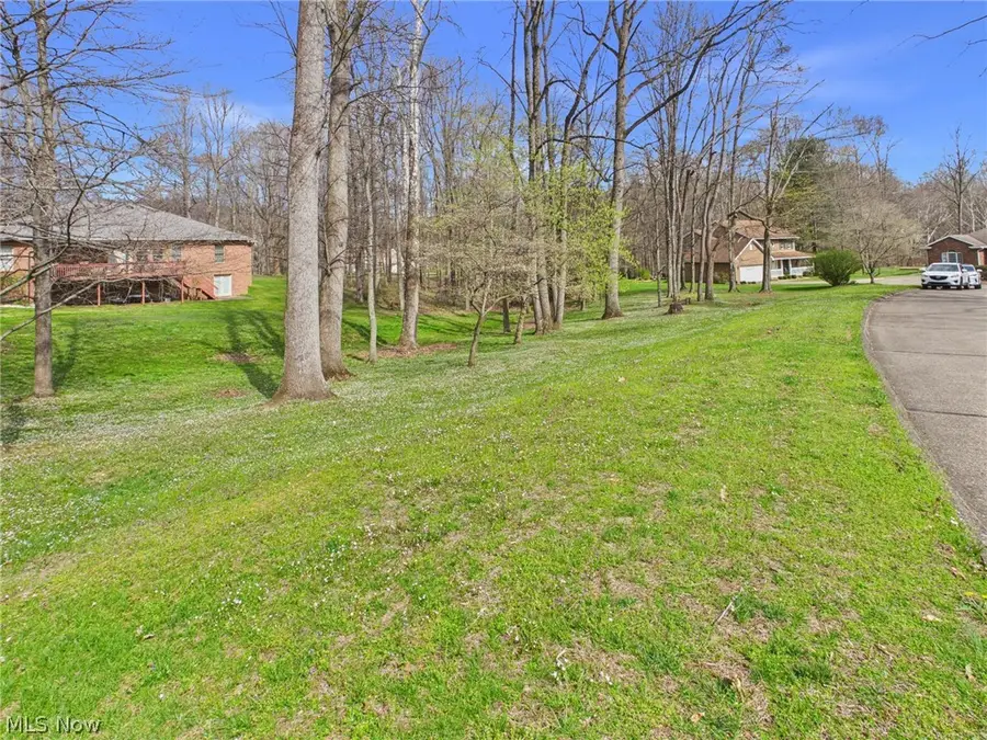 12 Vaughts Run Way, Washington, WV 26181 - #3