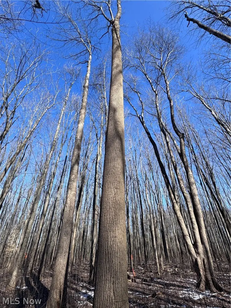 V/L 1 Leroy Center Road, Leroy, OH 44077 - #2