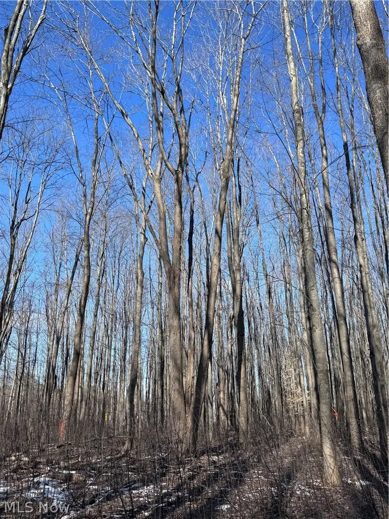 V/L 1 Leroy Center Road, Leroy, OH 44077 - #3