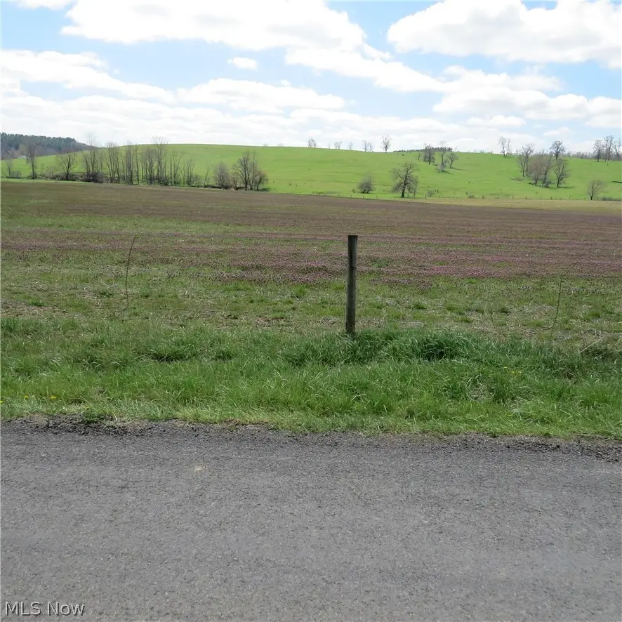 Fink Road, Kensington, OH 44427 - #2