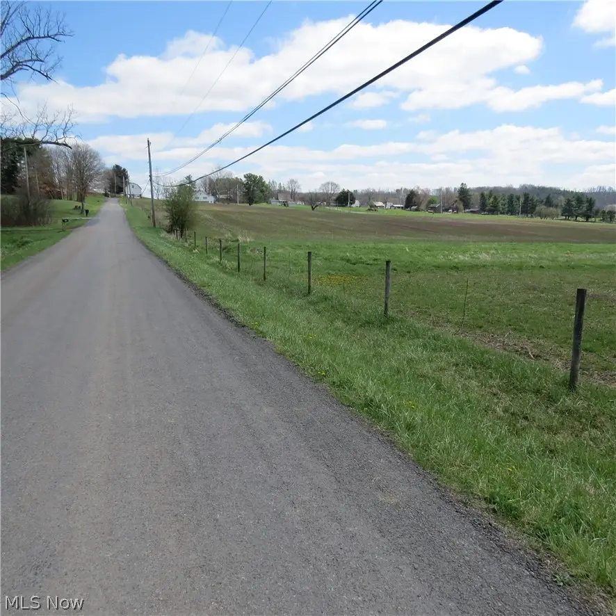 Fink Road, Kensington, OH 44427 - #3