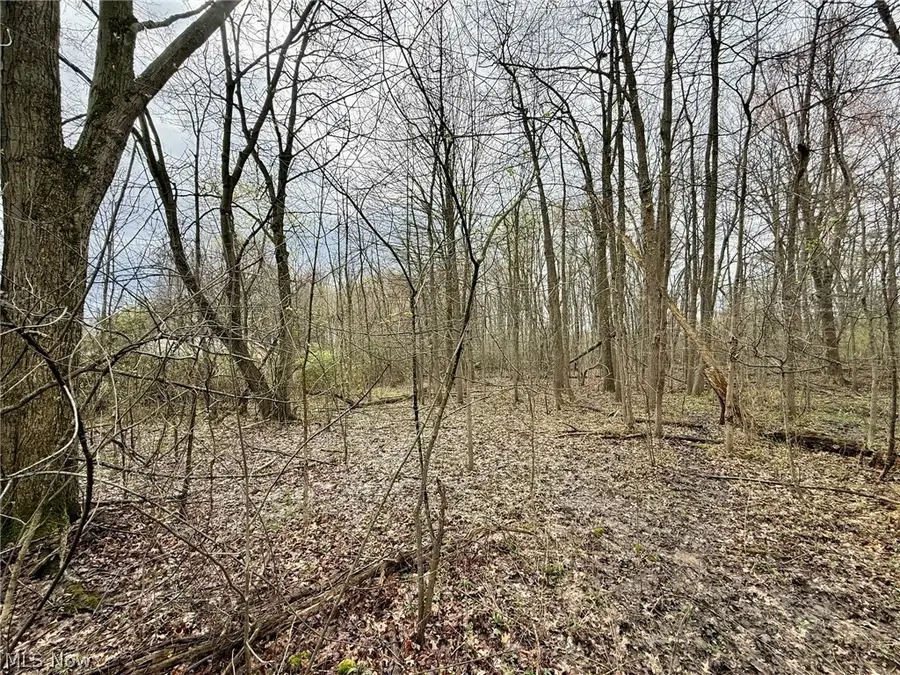 0 Mary Jane Drive, Girard, OH 44420 - #2