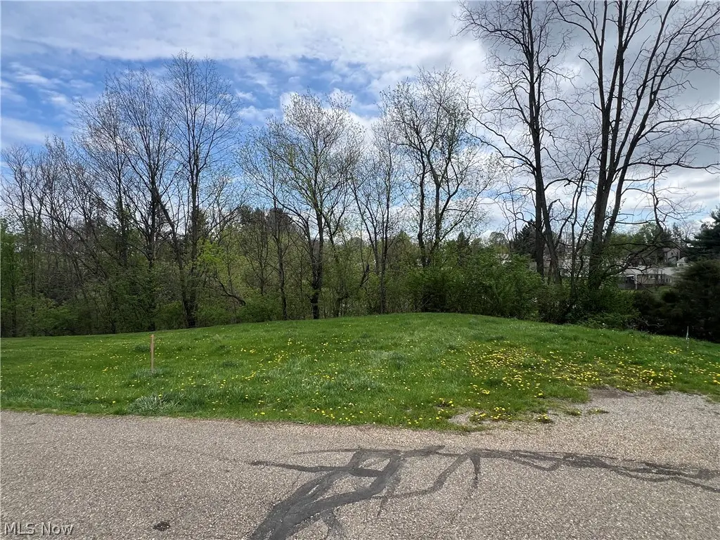 0 Carson Street, Hopedale, OH 43976 - #1