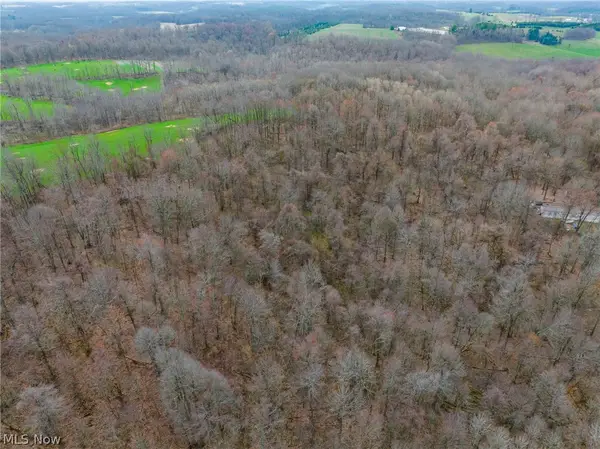 Pledge Road, Carrollton, OH 44615