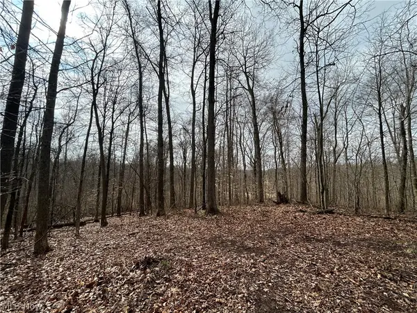 Wilbur Bush Road, Crooksville, OH 44606