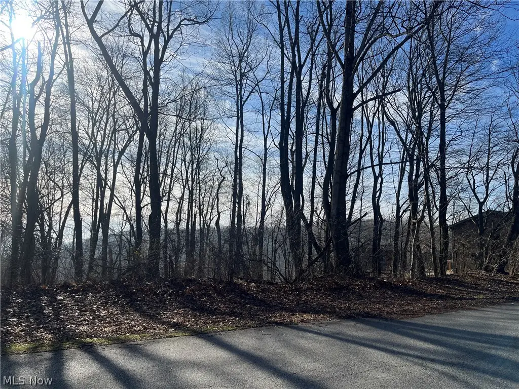 Sarah Boulevard, Toronto, OH 43964 - #1