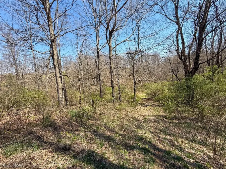 Claysville Rd, Cumberland, OH 43732 - #2