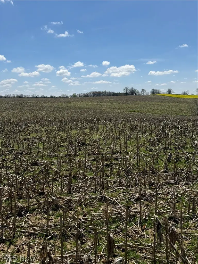 V/l Bieri Road, Marshallville, OH 44645 - #1