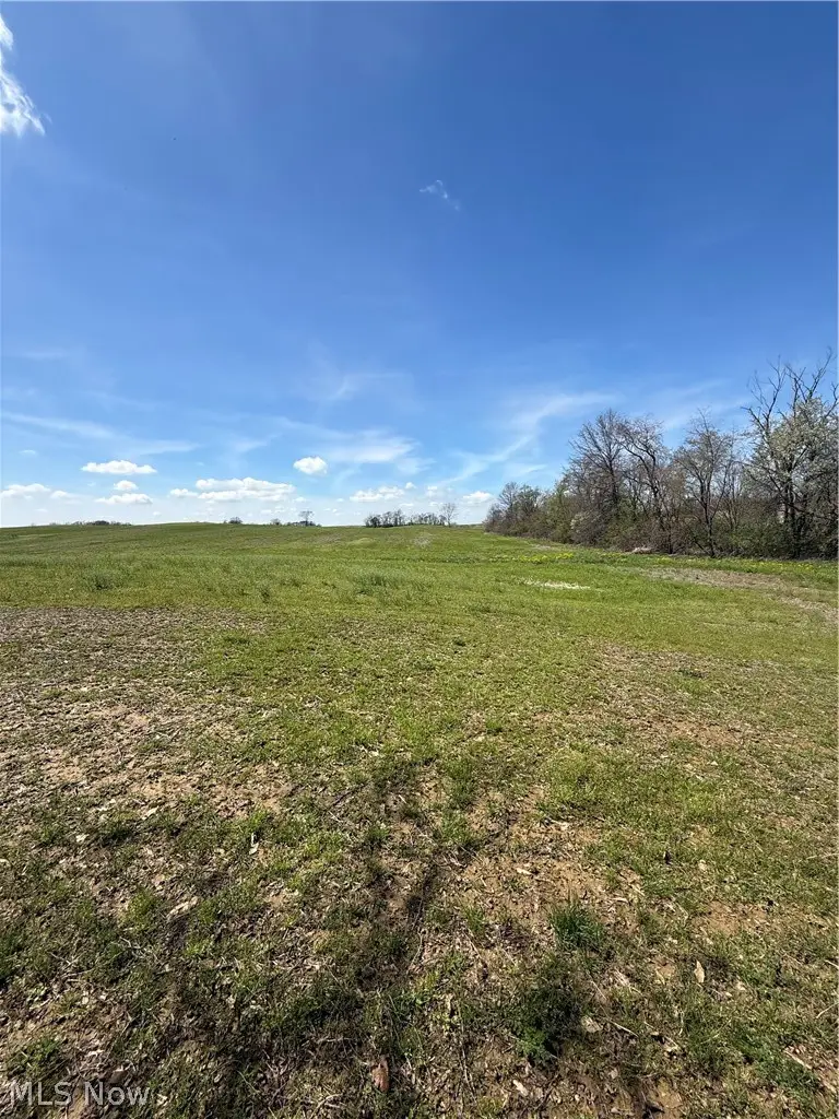 V/l Black Diamond Road, Marshallville, OH 44645 - #1