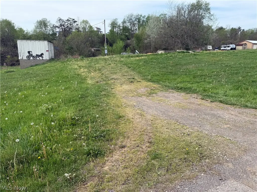 42135 W Union Road, Sardis, OH 43946 - #1