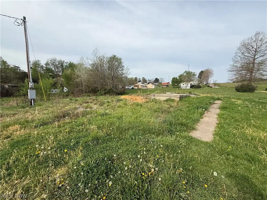 42135 W Union Road, Sardis, OH 43946 - #3