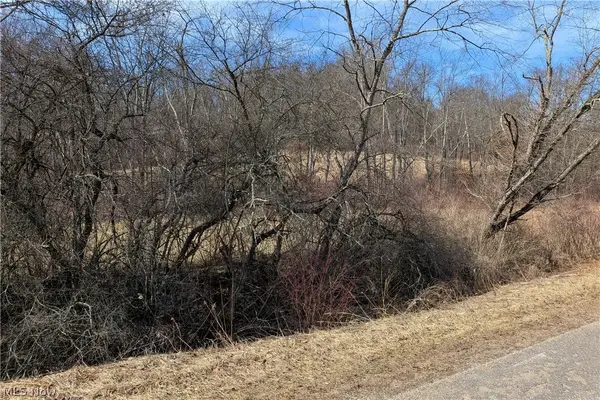 Stonecreek Road, Newcomerstown, OH 43840