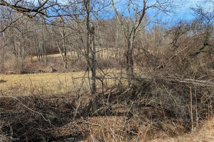 Stonecreek Road, Salem, OH 43840 - #2