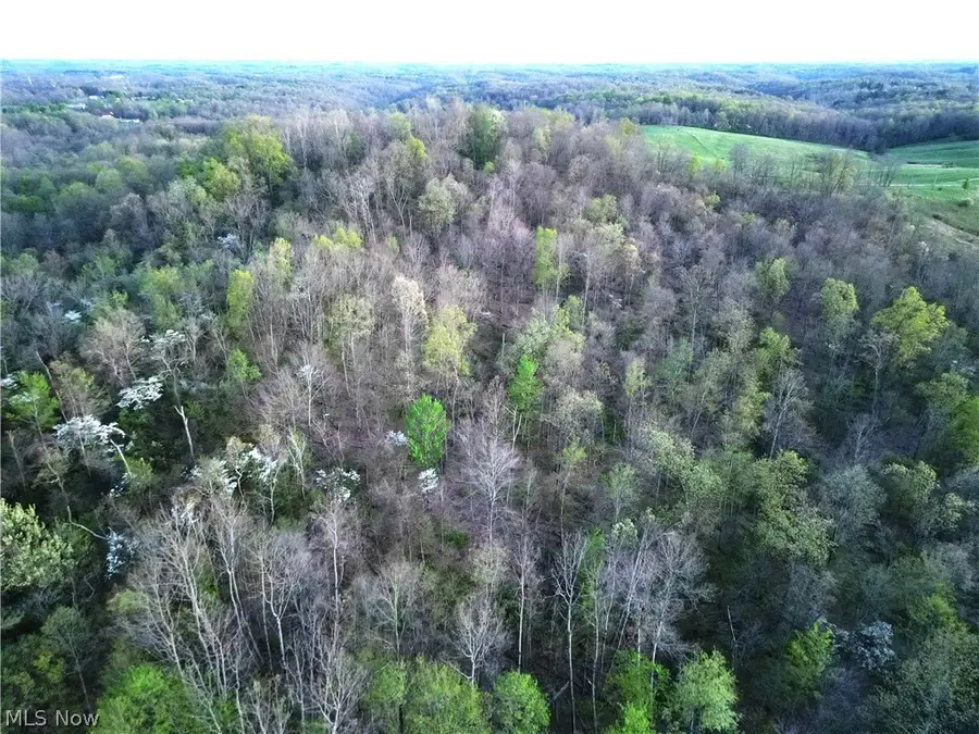 Zane Road, Lore City, OH 43755 - #2