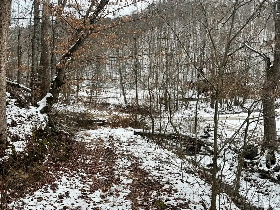 Rt 29/1 Grannies Creek Rd., Newton, WV 25266 - #2