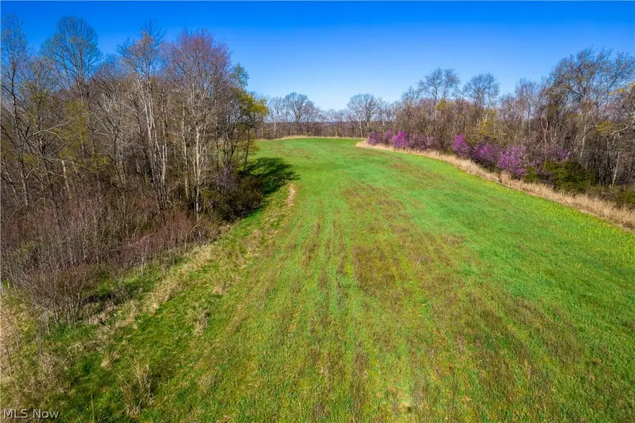 Sealover Hollow Rd Road, Philo, OH 43771 - #2