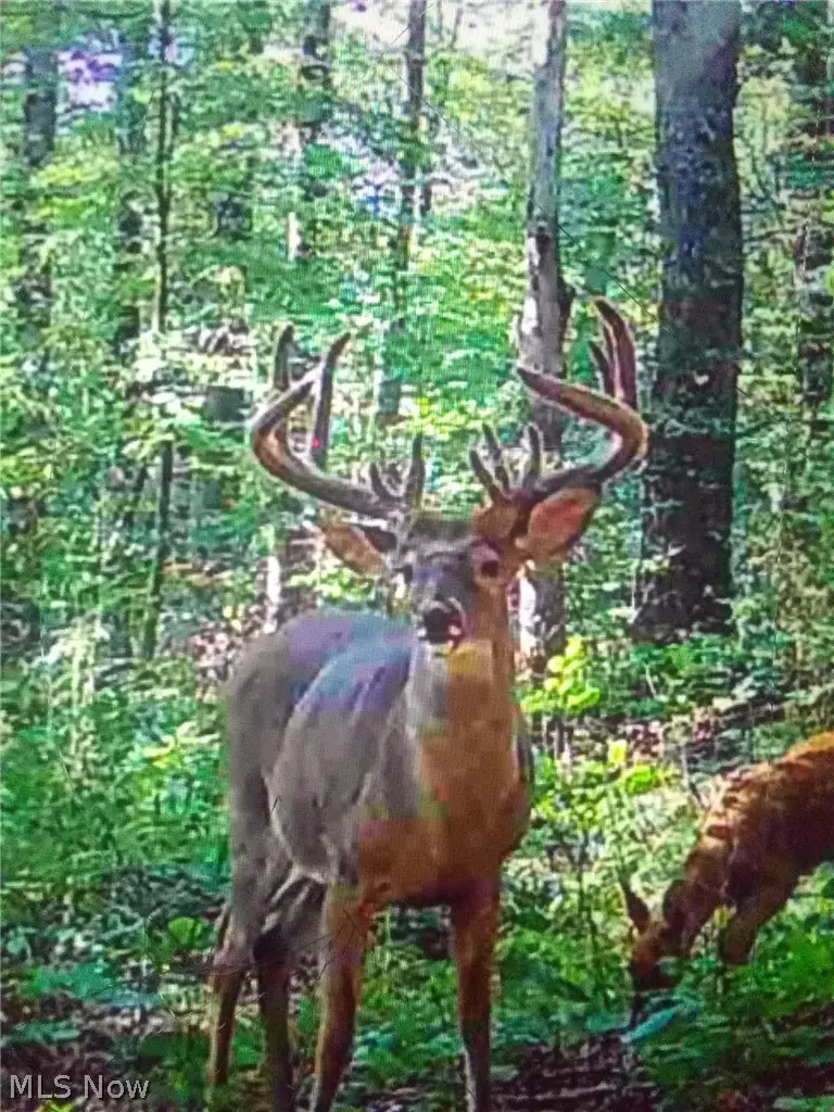 Us Route 36, Warsaw, OH 43844 - #3