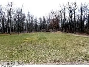 Prairie College Street, Canton, OH 44706 - #1