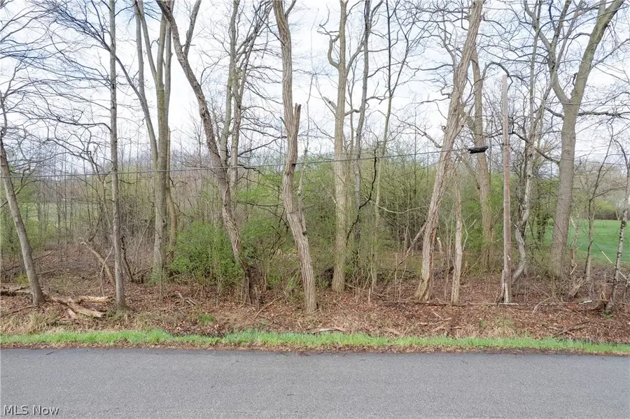 Dutt Road, Norton, OH 44203 - #2