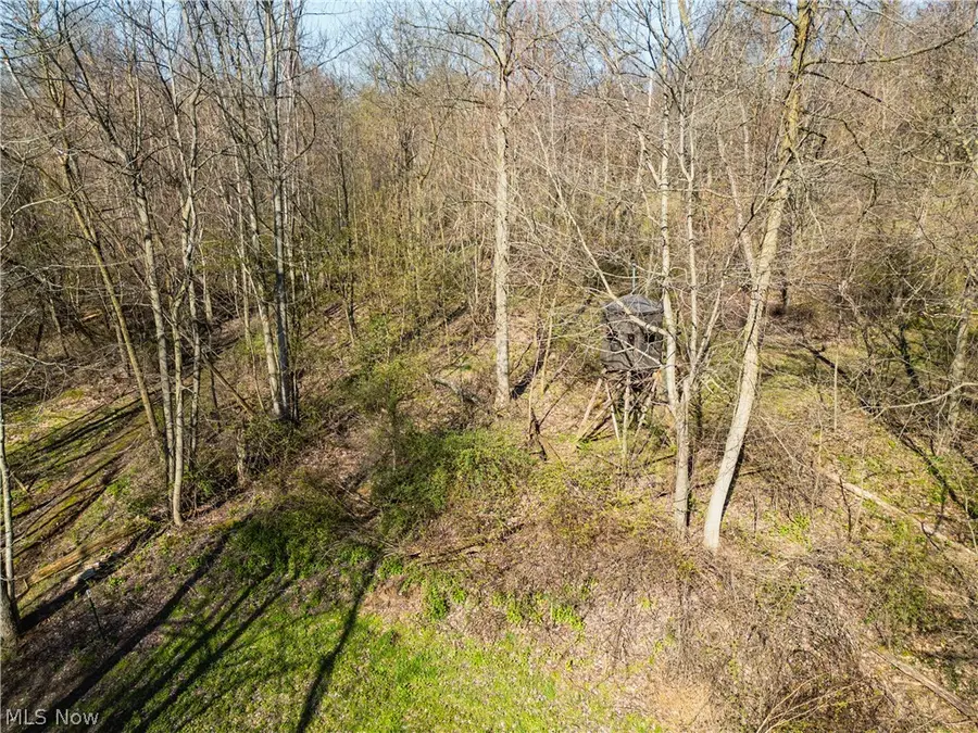 6706 Township Road 323 Road, Prairie, OH 44633 - #3