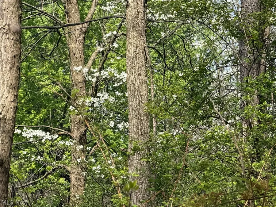 Village Se Street, Canton, OH 44707 - #3