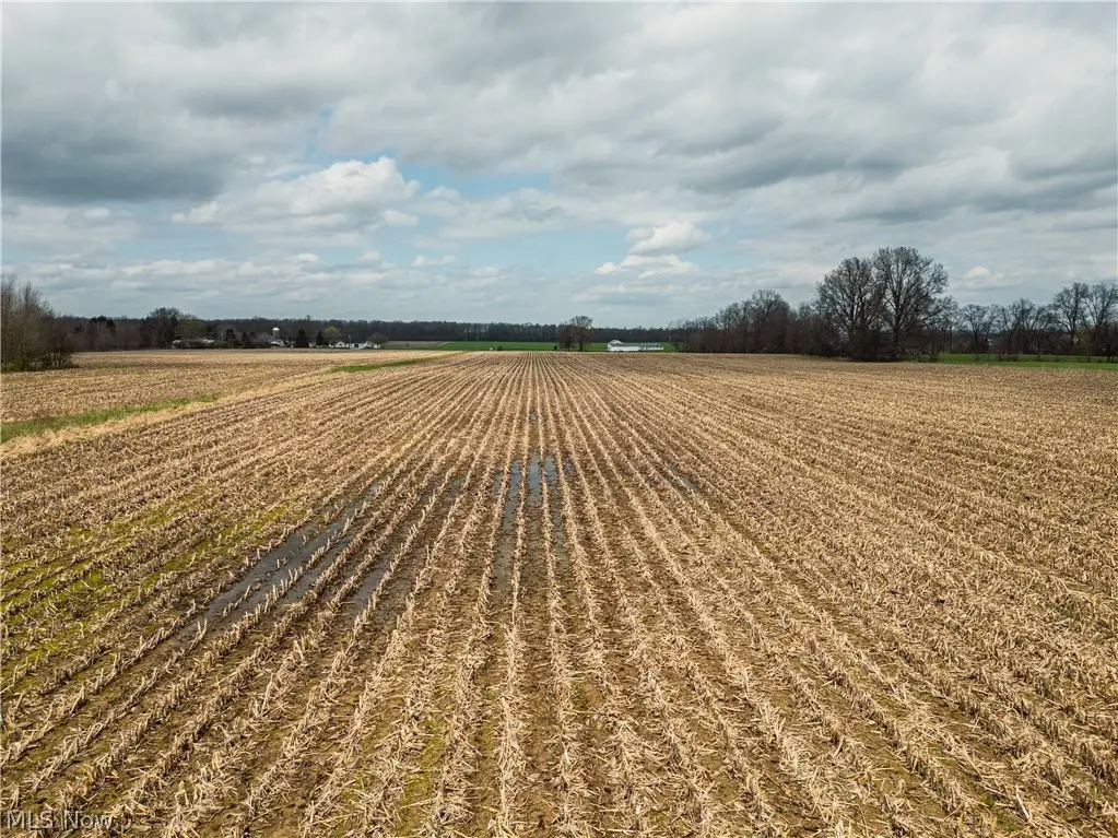 Steiner Road, Creston, OH 44217 - #1
