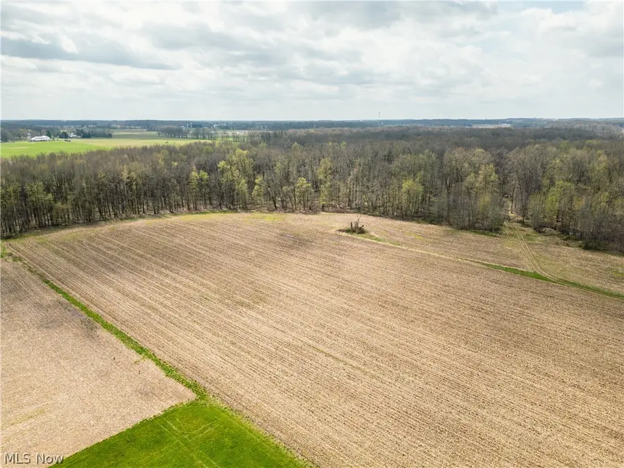 Steiner Road, Creston, OH 44217 - #3