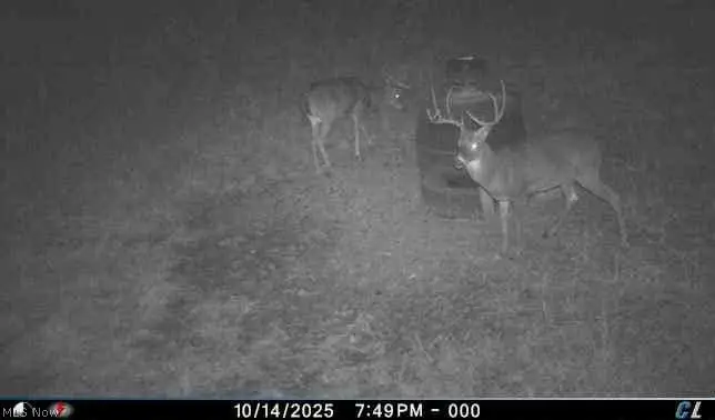 3725 N River Road, Zanesville, OH 43701 - #3