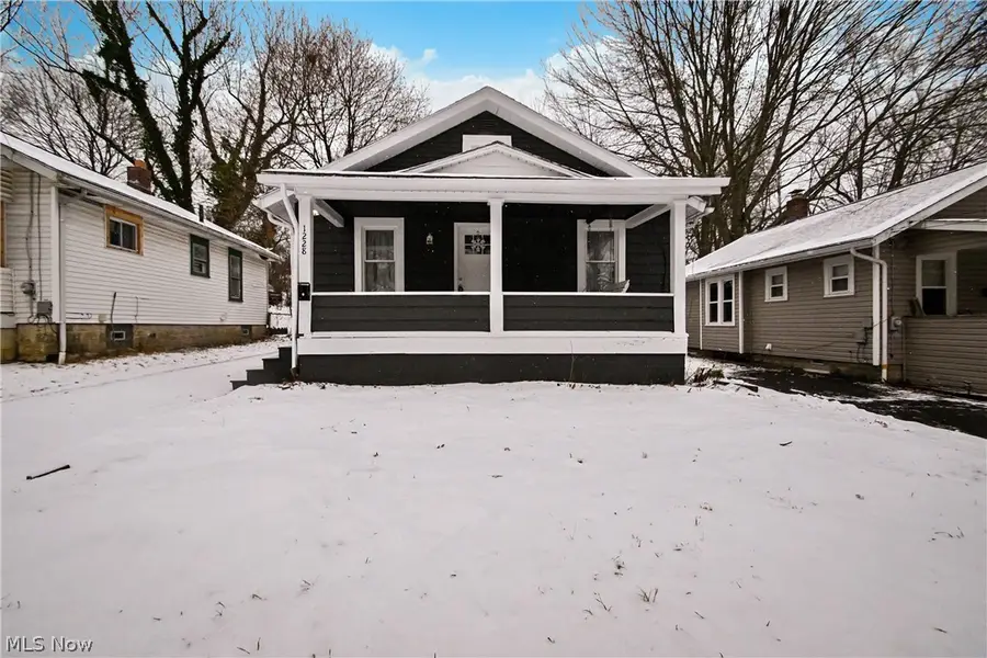 1228 Arnold Avenue, Akron, OH 44305 - #3