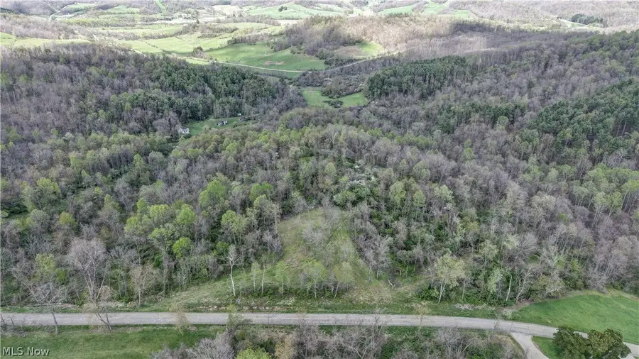 Deersville Ridge Road, Cadiz, OH 43907 - #2