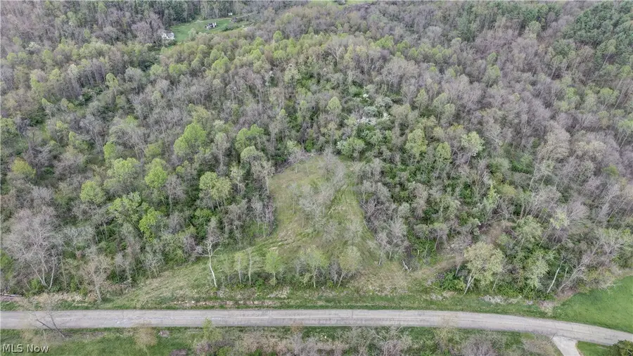 Deersville Ridge Road, Cadiz, OH 43907 - #3