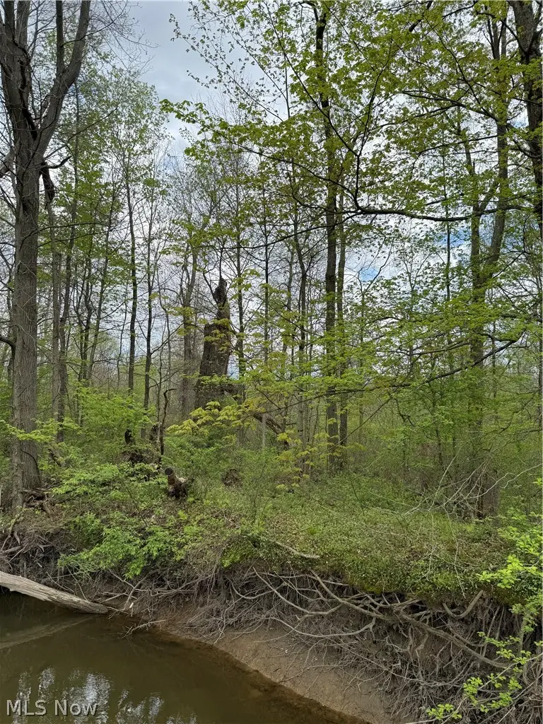 V/L Donley Road, Middlefield, OH 44062 - #1